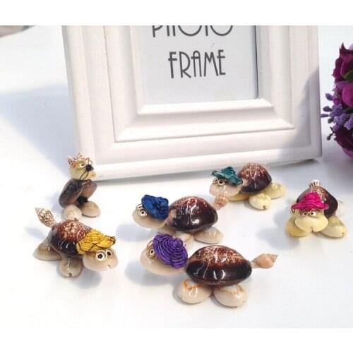 HappyKiss Lovely hat the tortoise Dr/conch shells DIY turtle/small place toy turtle study