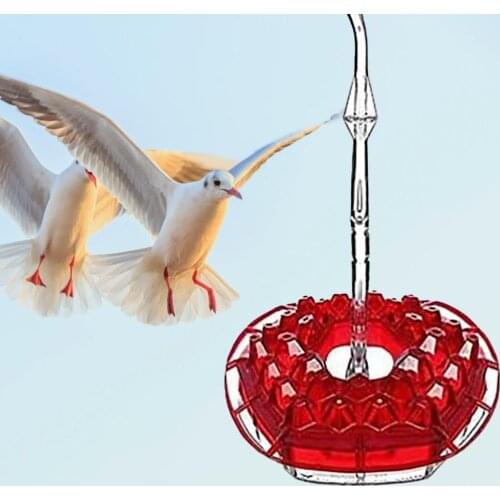Hummingbird Feeder Detachable Leak-proof Plastic Pet Feeding Water Container for Home Bird Supplies Products