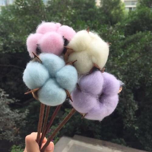 10pcs,Natural Dried Cotton head with Craft wire Branch,Display Flower Arranging For Wedding Party Home Decoration accessories