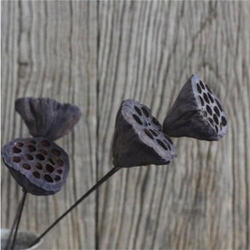 10pcs The Lotus Seedpod Dried Flower For Wedding Party Home Hotel Decoration DIY Bouquet Project Accessory