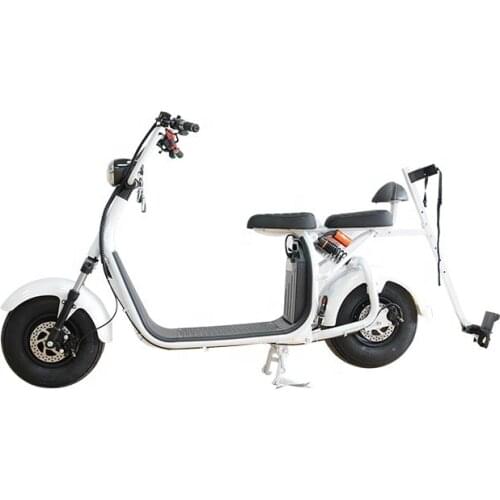 Powerful Fat Tire 2 Wheel Scooter With Roof For Golf Mobility Citycoco Electric Motorcycle Electric Bicycle Factory