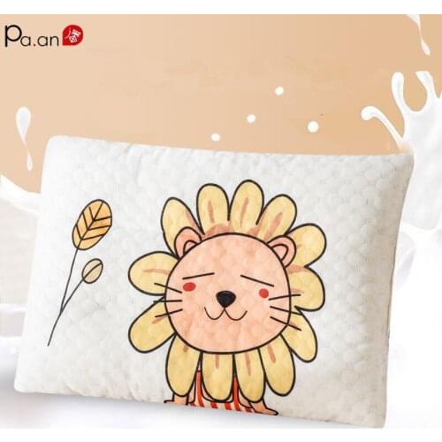 Pa.an Decorative Pillows