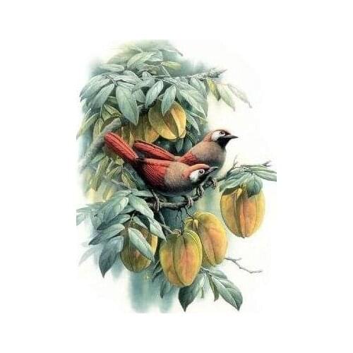Top Quality Flowers and Birds Sewing Embroidery Needlework 14CT Unprinted Art Cross Stitch Kits DIY Handmade Home Decor