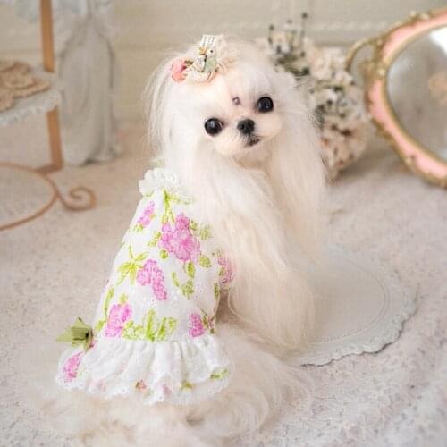 Maltese Flower Girl Dresses Doggie Chihuahua Shih Tzu Yorkshire XXS XS Small Pet Clothes Female Dog Pomeranian Summer Cat Outfit