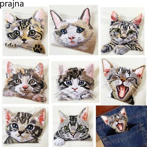 Prajna 2PCS Anime Cat Patch Embroidered Patches Applique Cartoon Iron On Patches For Clothing Badge Stickers On Clothes Jeans