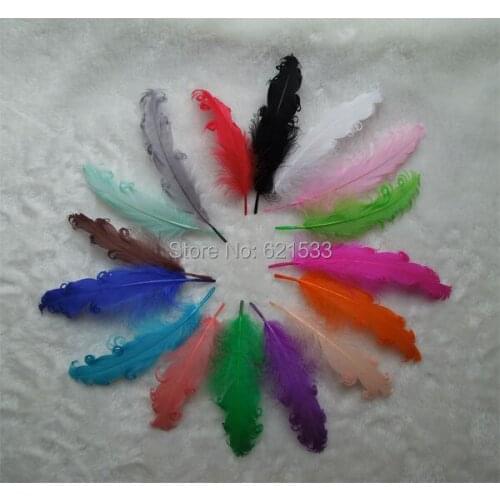 100pcs/lot! Multicolor Curly Goose Nagoire Feathers 6-7" Length for Costume, Party, Decor, Hats, Rave,16colours for choice