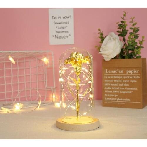 Enchanted Flower with LED Light Golden Carnation in Glass Dome LED Light Romantic Home Decor Gifts for Mothers Day
