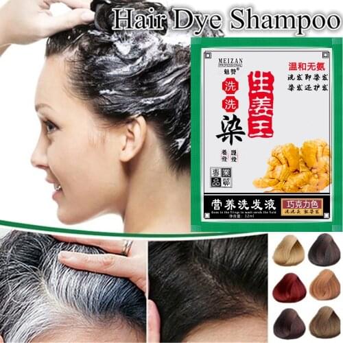 1 Pc Hair Shampoo Instant Hair Dye White Hair into Black Ginger Extracts Mild Formula Multicolor Hair Dye Hair Styling Tools