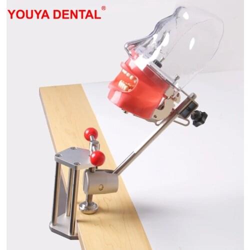Simulation Head Model Dental Tooth Model For Filling Training Practice Teaching Dentistry Dentist Phantom Manikins Teeth Models
