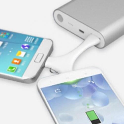 ORICO C1 USB Cable Dual Port Portable Synchronous Charging Type B and Type C Micro Data Cable Keychain for Xiaomi Huawei Samsung