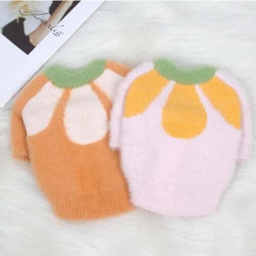 Yorkshire Terrier Cat Dog Teddy Pet Clothes French Bulldog Schnauzer Sweater Fall Winter Cute Sweater Small Dog