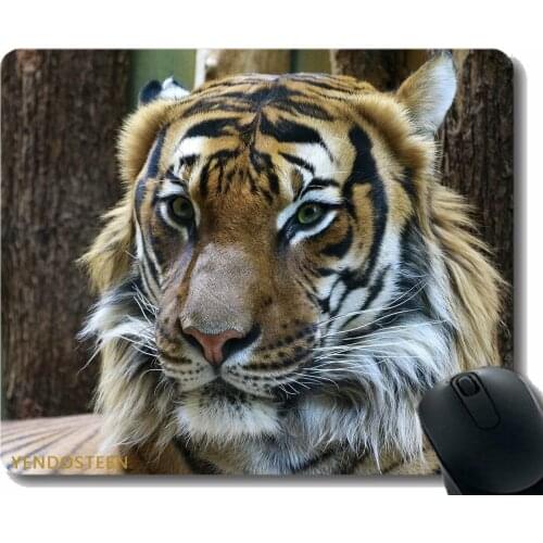 Mouse Pad Anti-Slip,Tiger Muzzle Predator Look Big Cat 118547 Non-Slip Rubber Base Mousepad