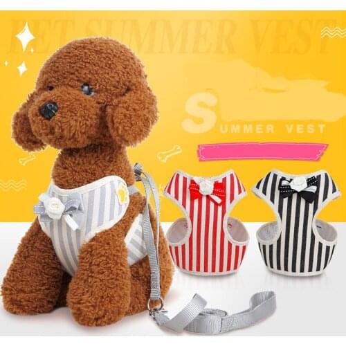 New products of 2021 leash for small pets striped bowknot dress chest back dog leash rope leash set for cat dog harness vest