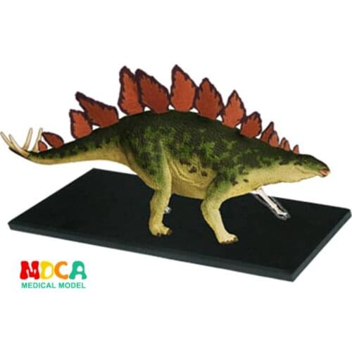 Stegosaurus 4d master puzzle Assembling toy Animal Biology Dinosaur organ anatomical model medical teaching model