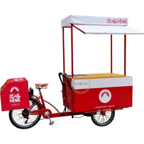 Electric Human Pedal Cargo Bike Ice Cream Tricycle New Design Cold Drink Coconut Water Bricycle Vending Kiosk Catering Food Cart