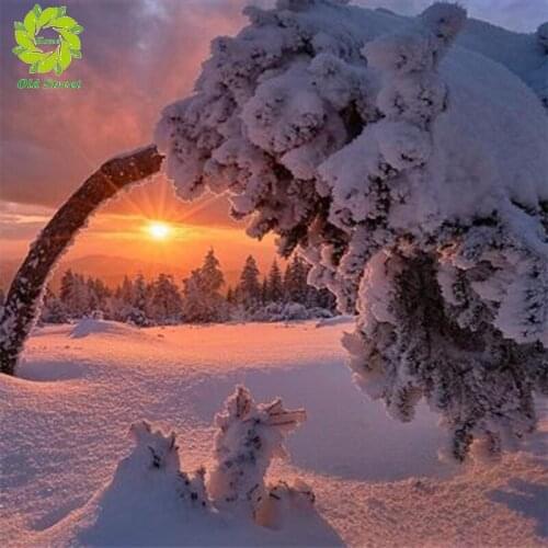 FULL Mosaic Pattern 5D DIY Diamond art Embroidery snow tree home decoration Flower diamond painting cross stitch gift