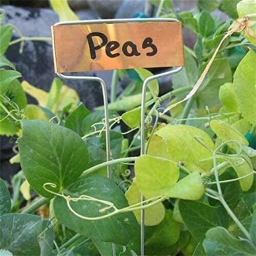 Горшки для растений FangNymph China At AliExpress