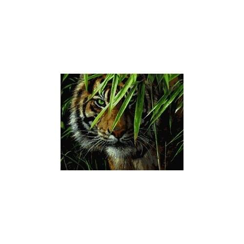 MaHuaf-W557 tiger under the Bamboo DIY oil painting by numbers digital canvas painting for kids room unique gift