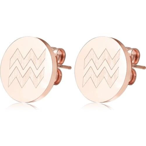 Titanium steel rose gold temperament simple earrings female ear jewelry