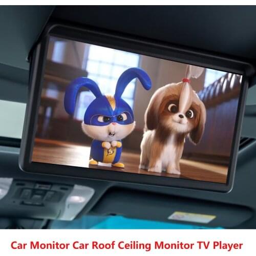 Car Monitors NAVIRIDER China