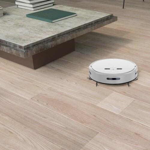 2 in 1 Mopping Robot Vacuum Cleaner for Carpet Robot Vacuum and Mop Cleaner Smart Mapping