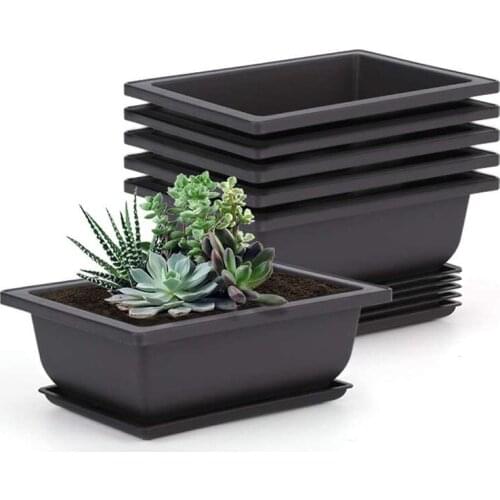 LBER 10 Packs Bonsai Training Pots with Tray Plastic Bonsai Plants Gg Pot for Garden Yard Living Room Balcony 16.5X12cm