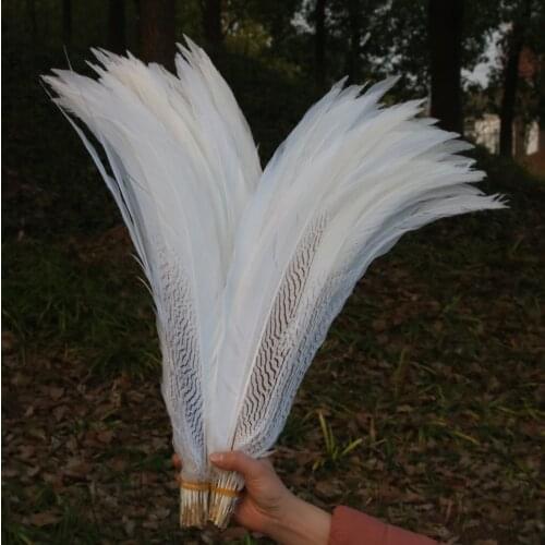 50pcs/lot Natural White Silver Chicken Pheasant Feathers 50-55CM/20-22 Inch Christmas Celebration Diy DIY Feathers For Crafts