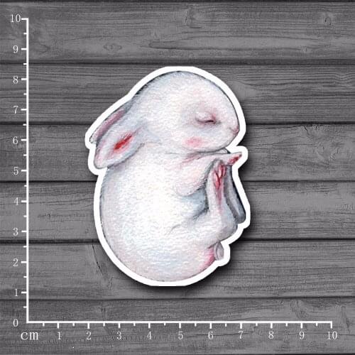 Компактные чемоданы Sleeping Momo China At AliExpress