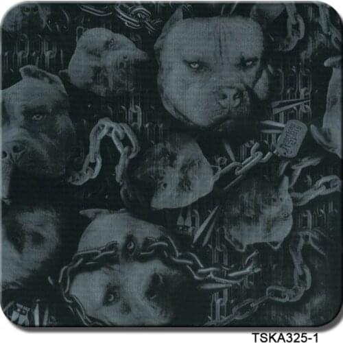 CSKD325-1 1m wide wtp 10m length pig design hydrographic