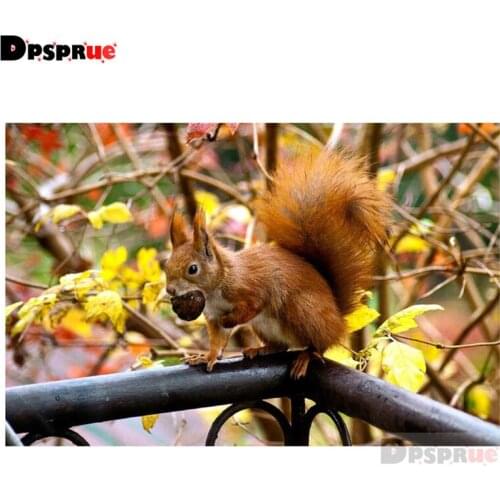 Dpsprue Full Square/Round Diamond Painting Cross Stitch Diamond 3D Embroidery Animal squirrel DIY 5D Moasic Home Decor Gift Pu44