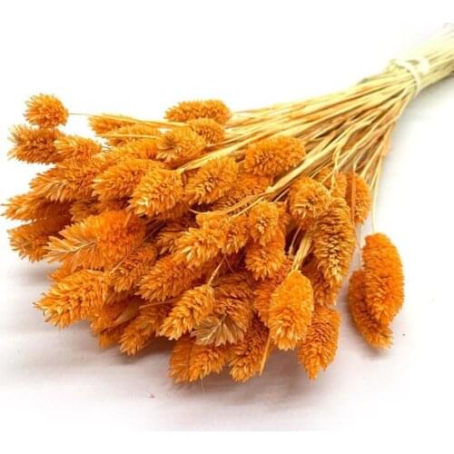Dry flower Bird Grass Orange decoration artificial flower искусственный цветок