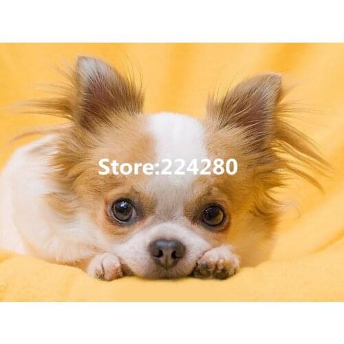 Needlework,Cross stitch,14CT Unprinted Animal Cute puppy pet dog for Embroidery kits Art Cross-Stitching,DIY Handmade decor