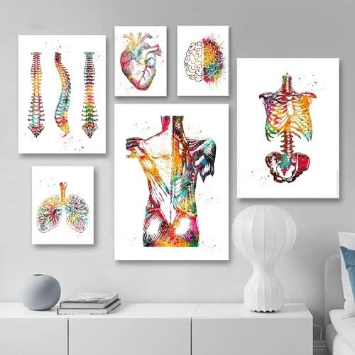 Human Anatomy Muscles System Wall Art Canvas Painting Posters And Prints Body Map Wall Pictures Medical Education Home Decor