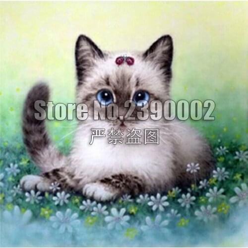 Cat 5D suqare Drill Animals Modern Home Decoration Diy Diamond Painting Wolf Butterfly Needlework Full Diamond Embroidery Mosaic