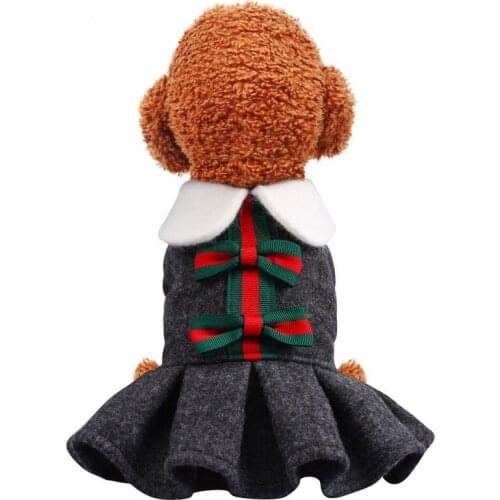 Winter Autumn Dog Cat Dress Coat with letter bowknot puppy dog clothing teddy poodle clothes for Dogs small pet