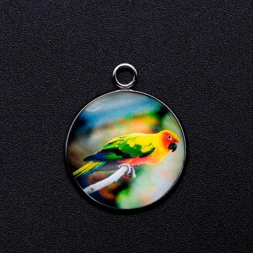 5pcs/lot Beautiful Parrot Cabochon Jewelry Pendant DIY Charms Wholesale Jewellery Supplies Bracelet Making Charm