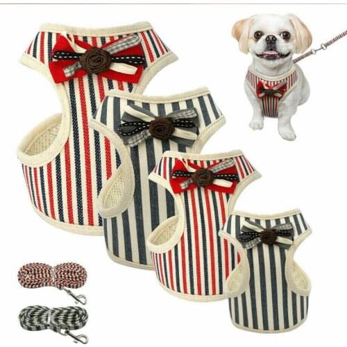 Fashion Soft Mesh Lace Dog & Cat Harness Leash Set Soft Mesh Pet Puppy Vest Lead For Small Medium Dog