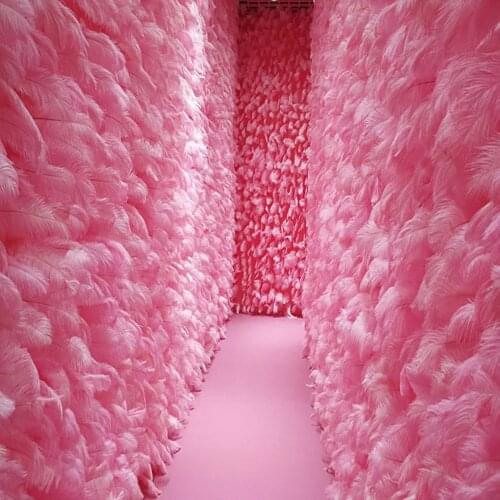 Hot Sell Pink Ostrich Feathers 15-20/25-30/30-35CM Decor for Wedding Holiday Party Home Room DIY Accessory Craft Plume 10 Pcs