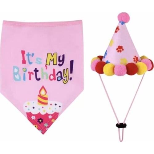 Happy Bithday Cat Dog Hat And Bandana Cute Party Costume