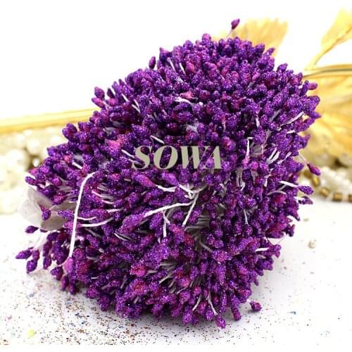 Free Shipping 3mm Dark Purple Floral Glitter Stamen Pistil (800pcs/Lot) Cake Decorating Craft DIY Wholesale and retail