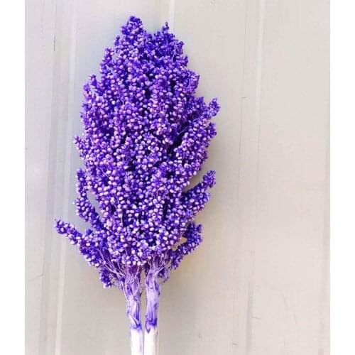 Dried Sorghum Flowers Preserved Colorful Real Grain Wheat Ears Natural Plant Wedding Decor Home Kerst Decoration Opening Barley