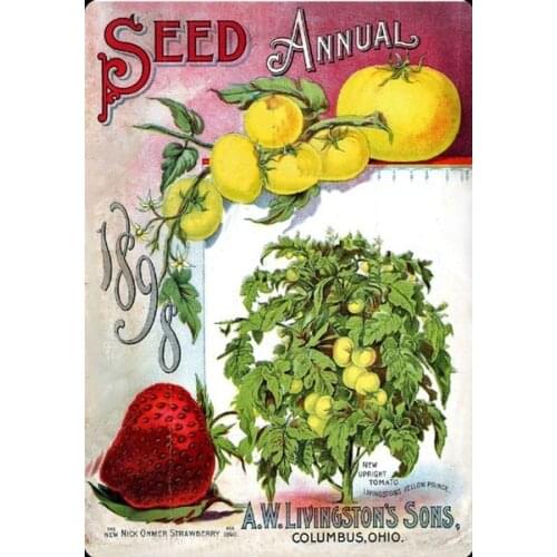 Vintage Farm Tomato Strawberry Seed Annual 1898 Metal Tin Sign 8x12 Inch Retro Home Vegetable Fruit Poster Kitchen Wall Decor