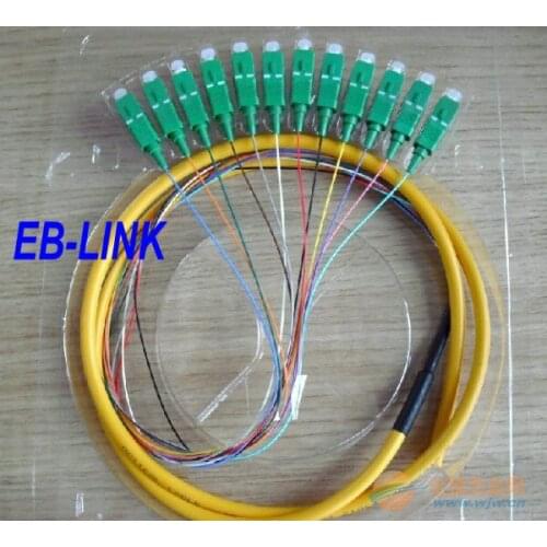 EB-LINK 1.5 Meters SC/APC 12 fiber cores 0.9mm breakout fiber pigtail Optic Pactch Cord