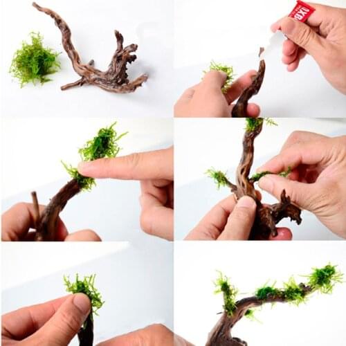 Aquarium Glue Aquatic Plants Grass Professional Adhesive Fish Tank Instant Cyanoacrylate Special Formula Supplies