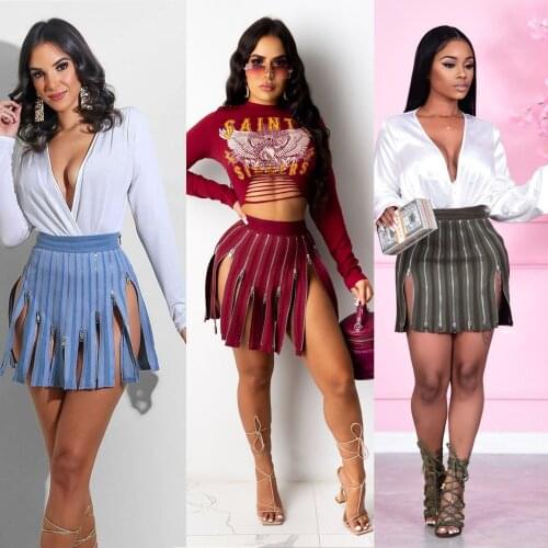 Capricornus Women's Mini Skirts