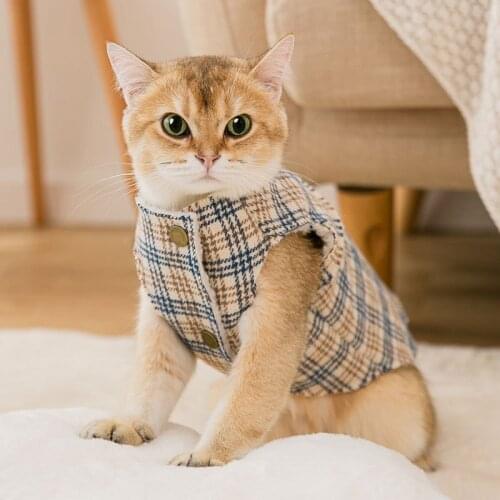 Pet autumn winter check vest Cats two-legged clothing keeps warm Puppy dog cat costume lamb cashmere cotton coat cat sweater