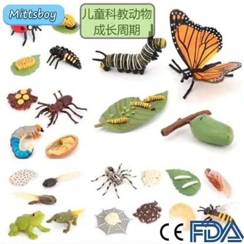 Hot Simulation Insect The Growth Process Model Child Mini Animals Bee Frogs Spider Ladybug Stag PVC Action Figures Doll toy Kids