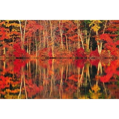 Wholesale Maple painting, Nuture photo of Beautiful lake reflection as a mirror picture Printed on cotton canvas for home decor