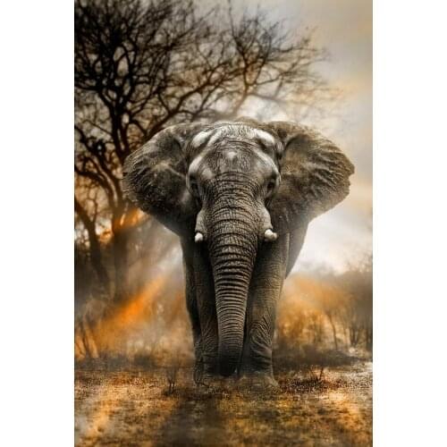 The giant Elephant Art Film Print Silk Poster Home Wall Decor 24x36inch