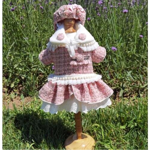 Autumn and winter 2020 new fashion brand small fragrance palace luxury pet clothing, pink skirt, dog hat, rabbit ear wool clip c